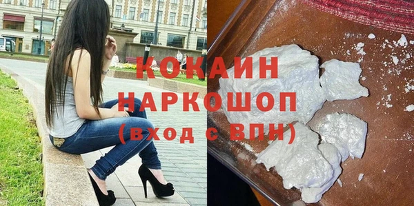 индика Богородск